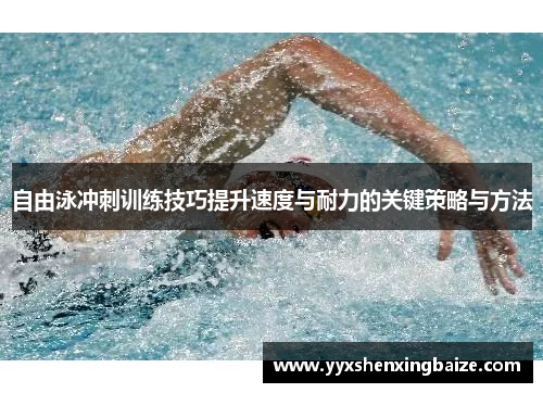 自由泳冲刺训练技巧提升速度与耐力的关键策略与方法
