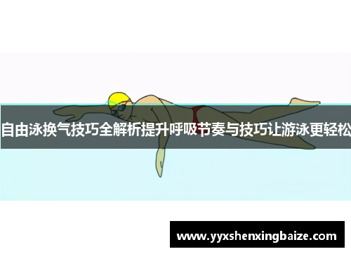 自由泳换气技巧全解析提升呼吸节奏与技巧让游泳更轻松