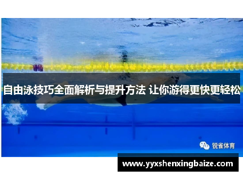 自由泳技巧全面解析与提升方法 让你游得更快更轻松