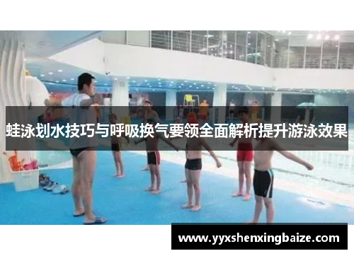 蛙泳划水技巧与呼吸换气要领全面解析提升游泳效果