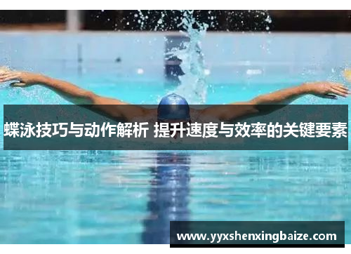 蝶泳技巧与动作解析 提升速度与效率的关键要素