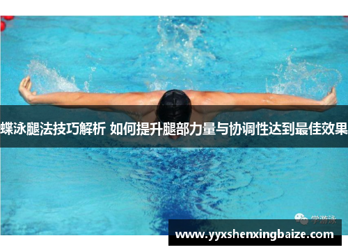 蝶泳腿法技巧解析 如何提升腿部力量与协调性达到最佳效果